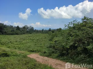 For sale land in Ko Samui, Surat Thani
