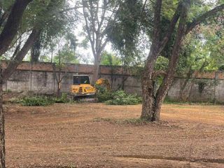 For sale land in San Sai, Chiang Mai