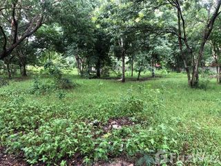 For sale land in San Sai, Chiang Mai