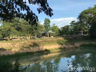 For sale land in San Sai, Chiang Mai