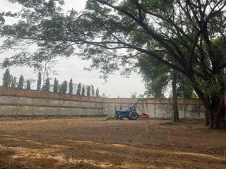For sale land in San Sai, Chiang Mai