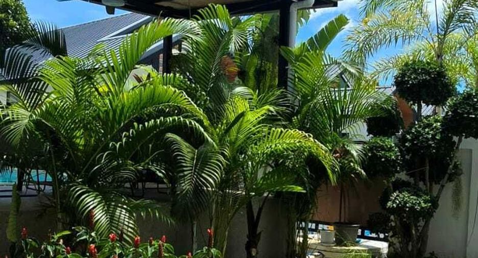Villa zum Kauf mit 3 Zimmer in Ko Samui, Surat Thani