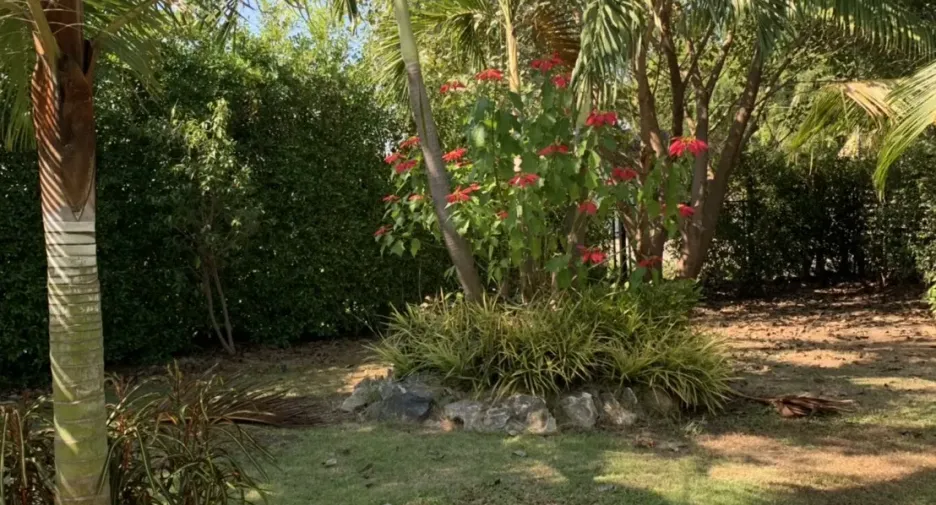 For rent 3 bedrooms villa in Saraphi, Chiang Mai