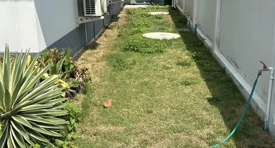 For rent 3 bedrooms house in Saraphi, Chiang Mai
