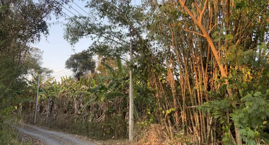 For sale land in Doi Saket, Chiang Mai