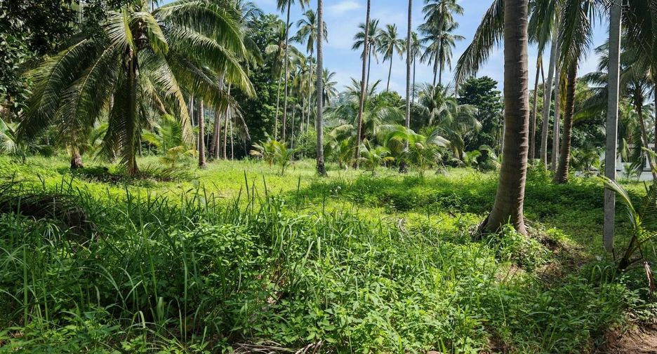 For sale land in Ko Samui, Surat Thani