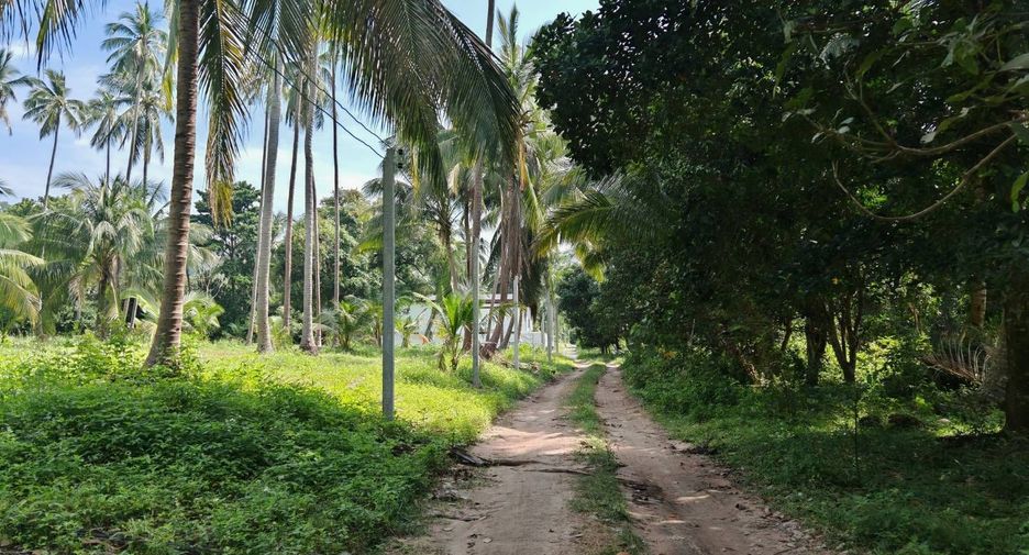 For sale land in Ko Samui, Surat Thani