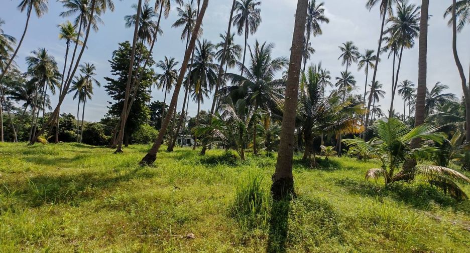 For sale land in Ko Samui, Surat Thani