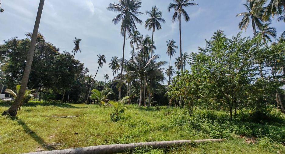 For sale land in Ko Samui, Surat Thani