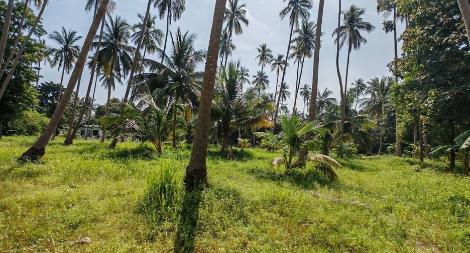 For sale land in Ko Samui, Surat Thani