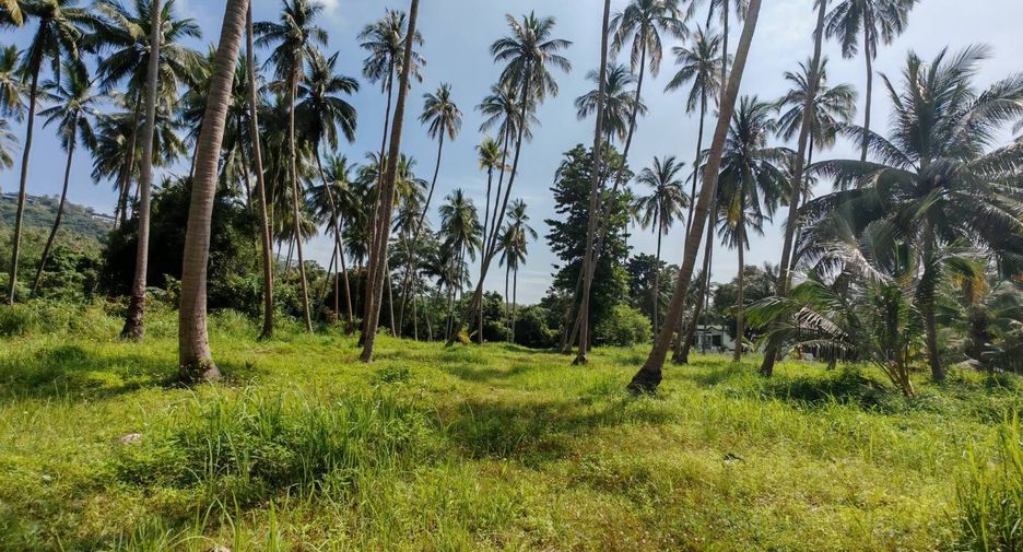 For sale land in Ko Samui, Surat Thani