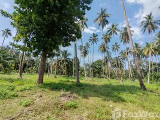À vendre terrain à Ko Samui, Surat Thani