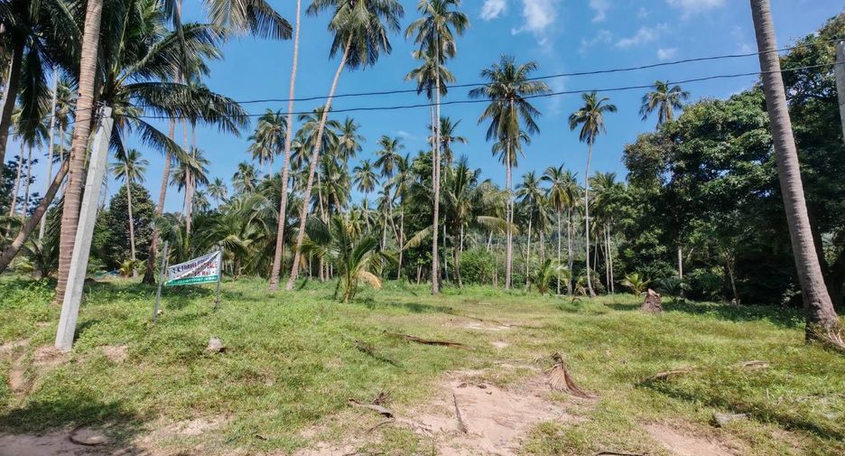 For sale land in Ko Samui, Surat Thani