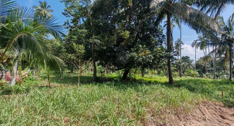 For sale land in Ko Samui, Surat Thani
