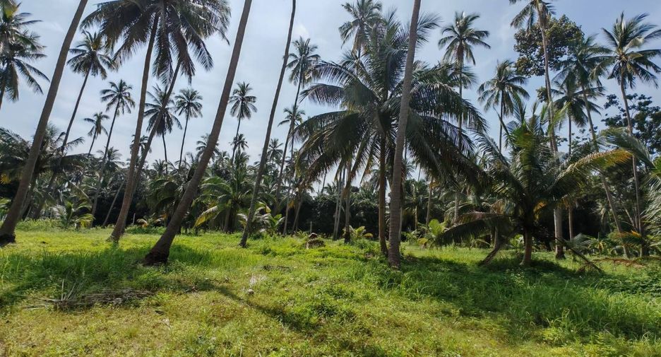 For sale land in Ko Samui, Surat Thani
