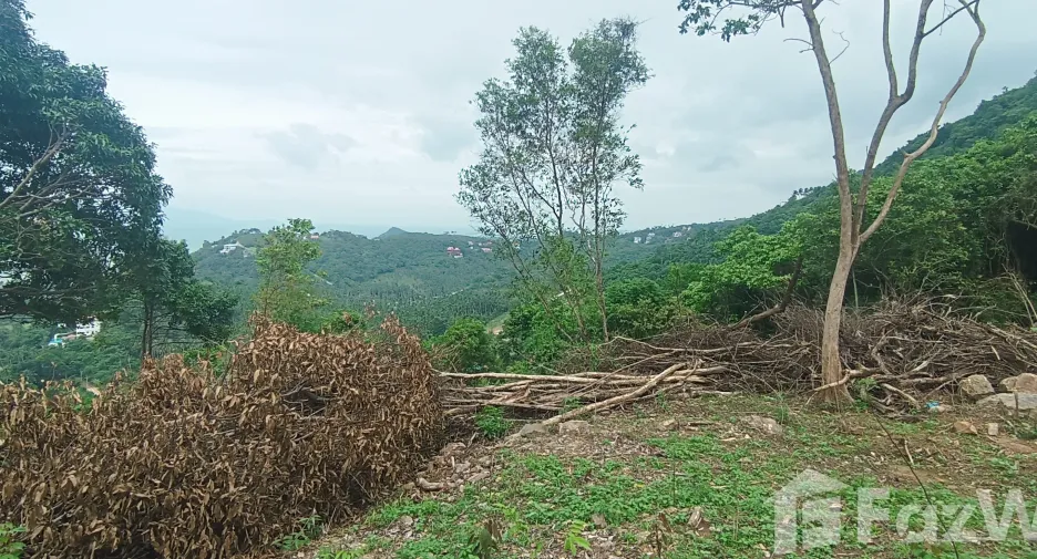 For sale land in Ko Samui, Surat Thani