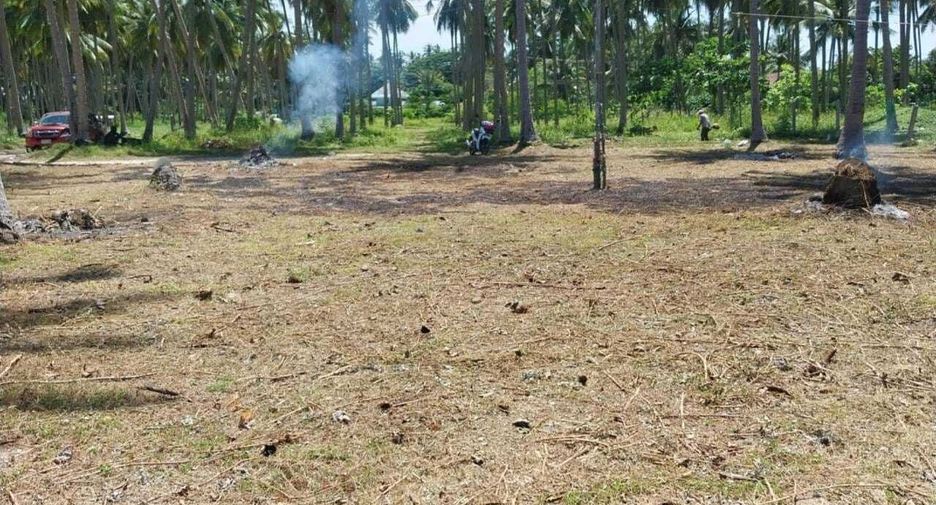 For sale land in Ko Samui, Surat Thani