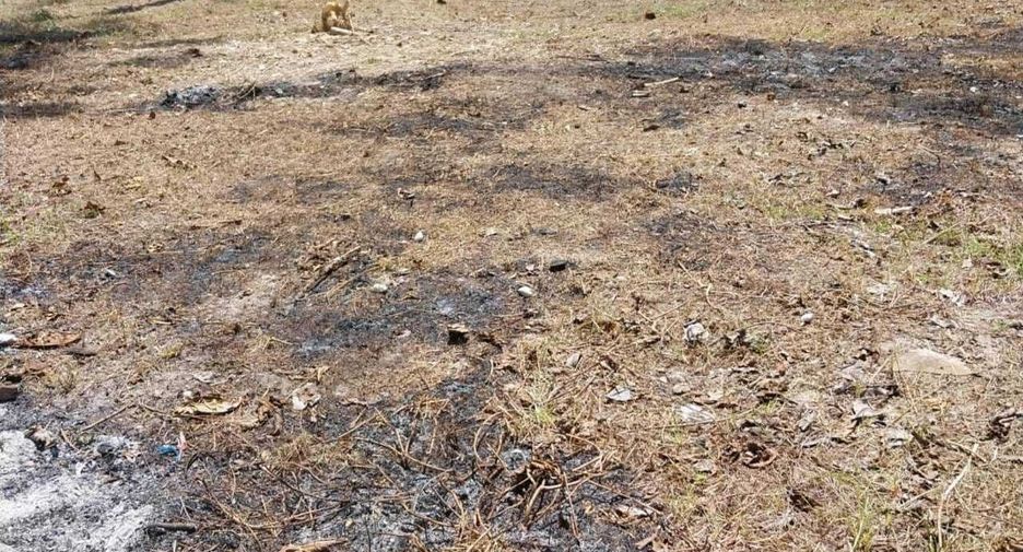 For sale land in Ko Samui, Surat Thani