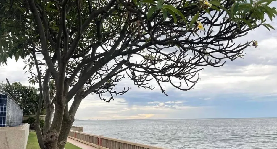 For sale and for rent 1 bed condo in Hua Hin, Prachuap Khiri Khan
