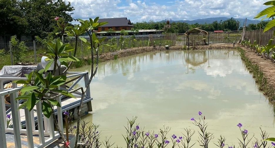 For sale 1 bed house in Mae Rim, Chiang Mai