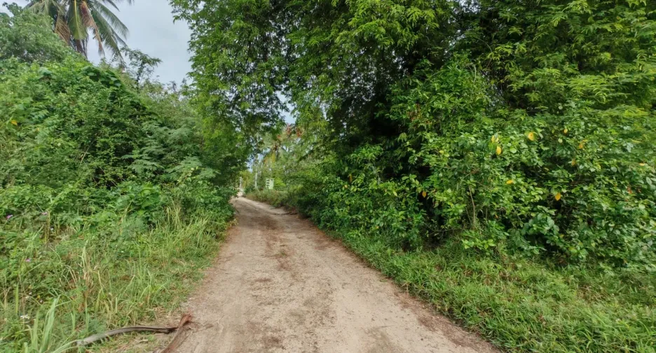 For sale land in Ko Samui, Surat Thani