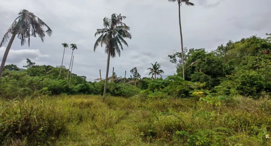 For sale land in Ko Samui, Surat Thani