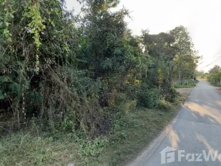 Grundstück zum Kauf in San Pa Tong, Chiang Mai