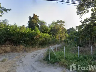 Grundstück zum Kauf in San Pa Tong, Chiang Mai