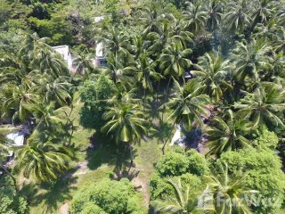 Grundstück zum Kauf in Ko Samui, Surat Thani
