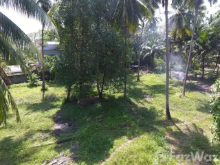 Grundstück zum Kauf in Ko Samui, Surat Thani