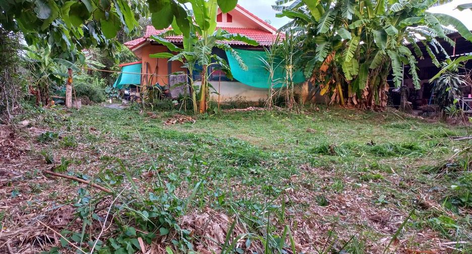 Продажа 3 спальни дом в Сан Кампаенг, Чианг Маи