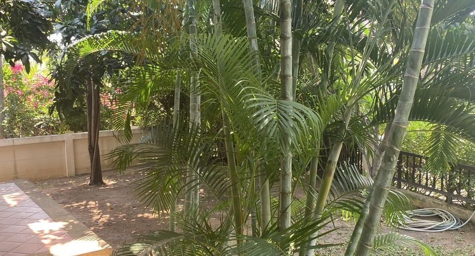 For sale and for rent 3 bedrooms house in Hua Hin, Prachuap Khiri Khan
