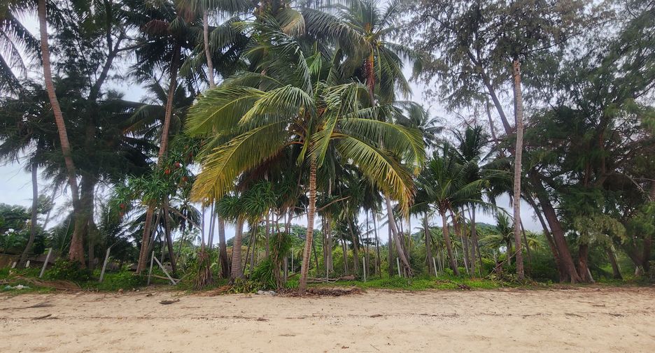 For sale land in Ko Samui, Surat Thani