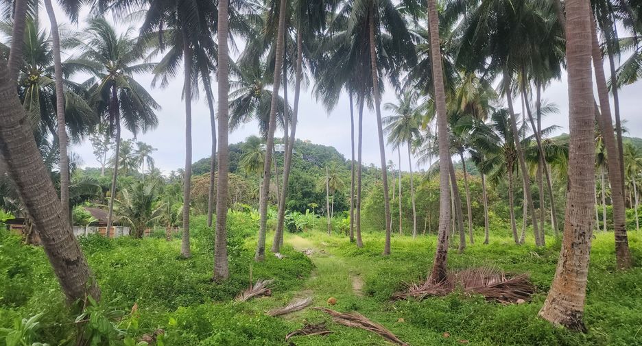 For sale land in Ko Samui, Surat Thani