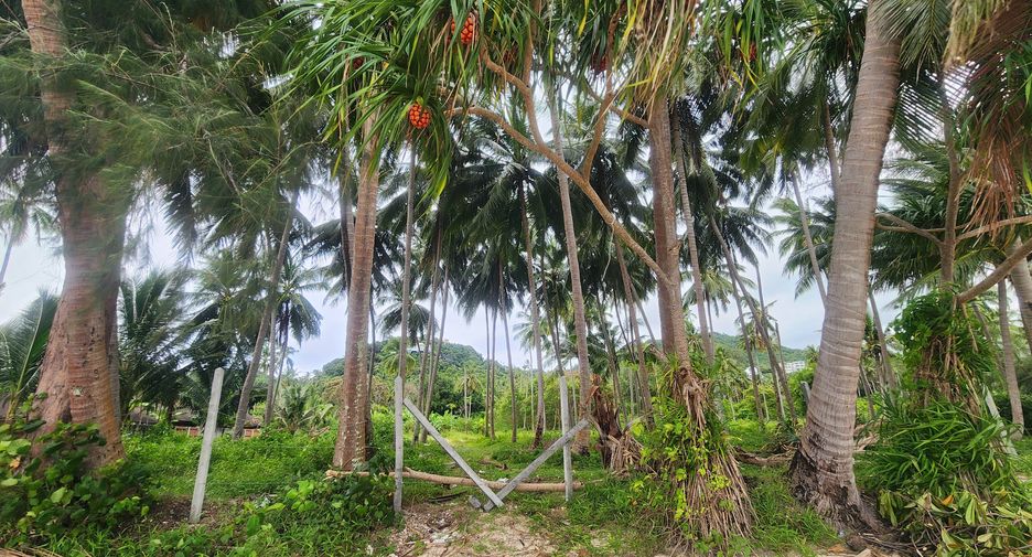 For sale land in Ko Samui, Surat Thani