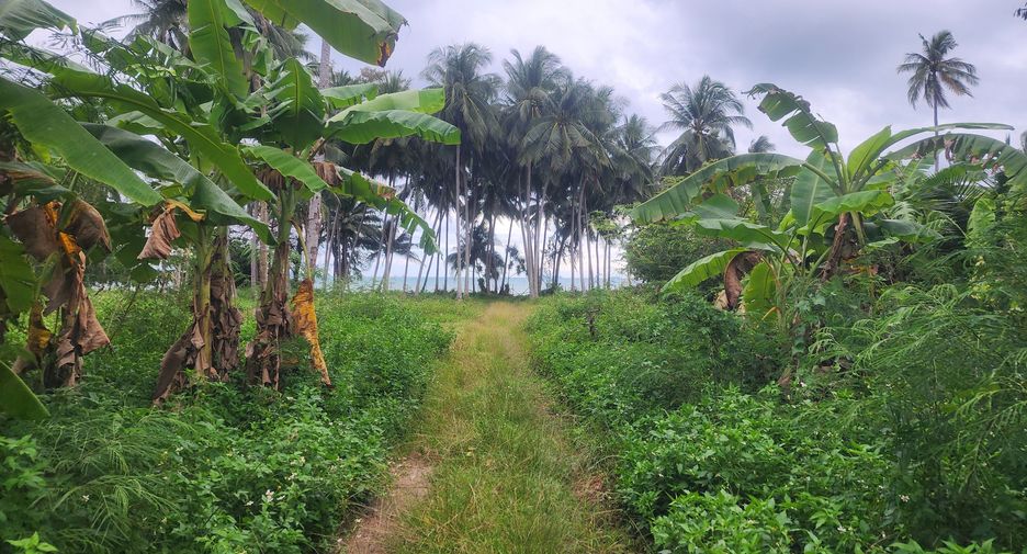 For sale land in Ko Samui, Surat Thani
