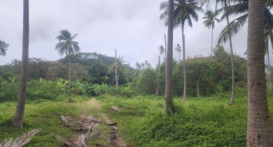 For sale land in Ko Samui, Surat Thani
