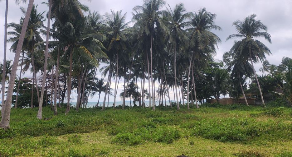 For sale land in Ko Samui, Surat Thani
