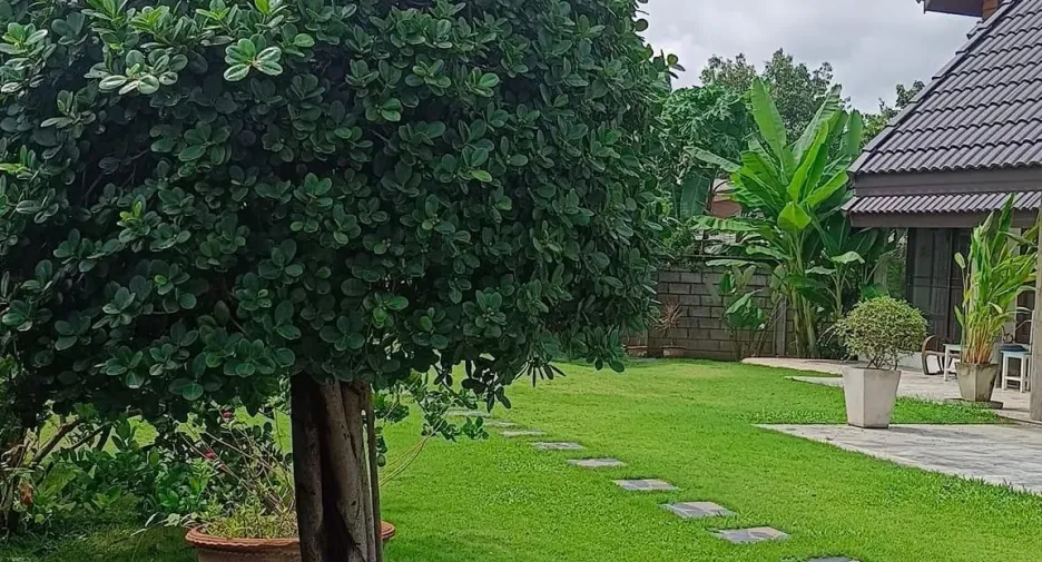 For sale and for rent 4 bedrooms house in Hang Dong, Chiang Mai