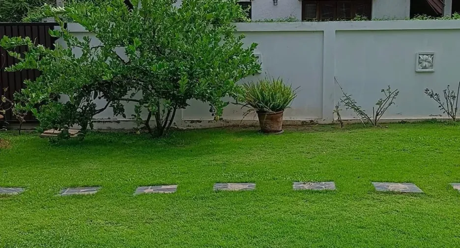 For sale and for rent 4 bedrooms house in Hang Dong, Chiang Mai