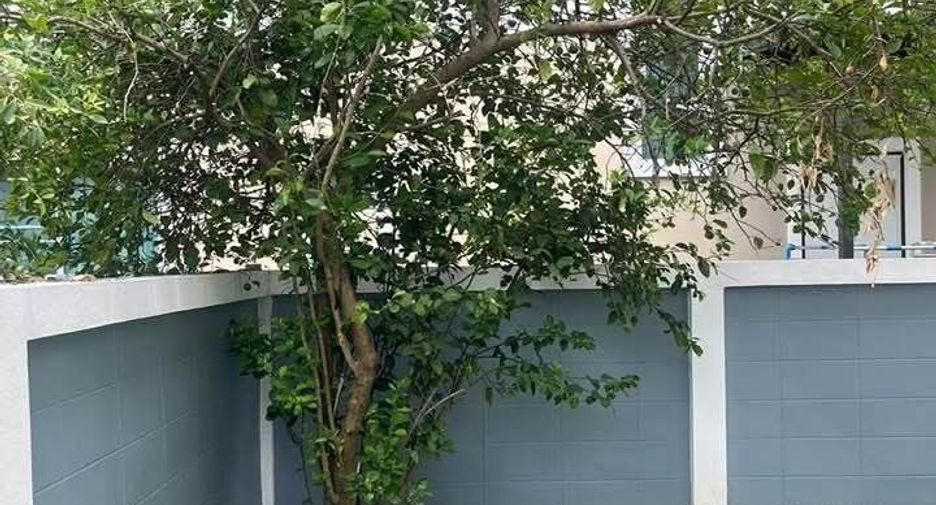 For rent 3 bedrooms house in Saraphi, Chiang Mai