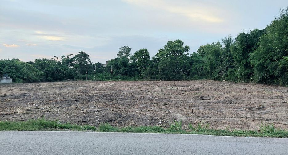 For sale land in Mae Rim, Chiang Mai