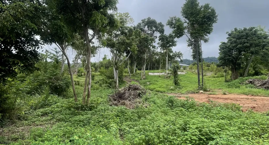 For sale land in Ko Samui, Surat Thani