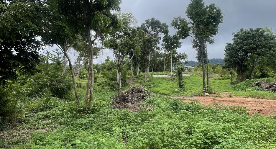 For sale land in Ko Samui, Surat Thani