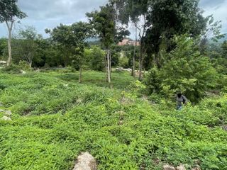 For sale land in Ko Samui, Surat Thani
