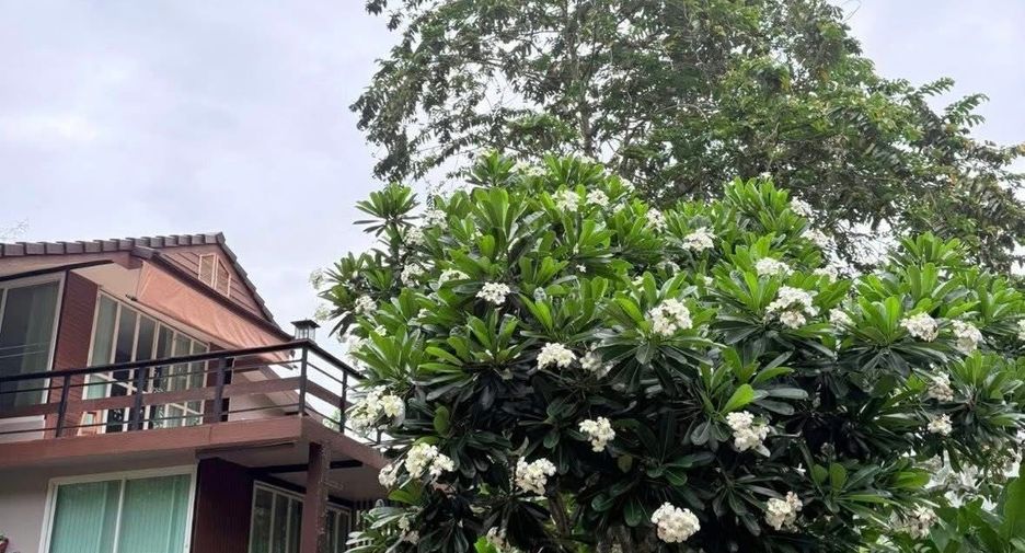 Villa en alquiler de 1 habitaciones en Hang Dong, Chiang Mai