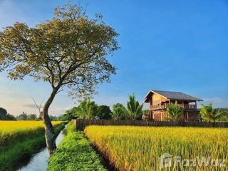 Haus zur Miete mit 3 Zimmer in Mae Taeng, Chiang Mai