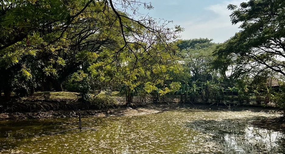 Grundstück zum Kauf in Hang Dong, Chiang Mai