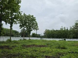 Terreno en venta en Mae Rim, Chiang Mai
