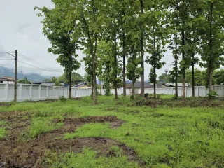 Terreno en venta en Mae Rim, Chiang Mai